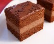 Desert tort cu ciocolata-2
