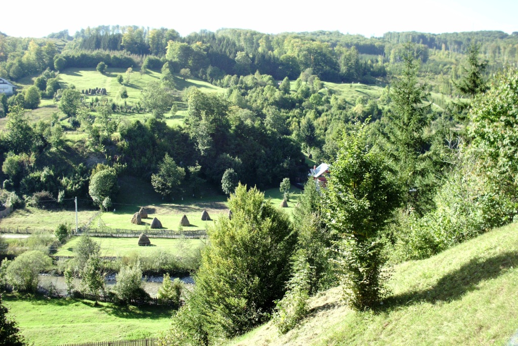 Festivalul cascavalei  Valea Doftanei