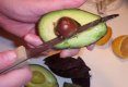 Guacamole-4