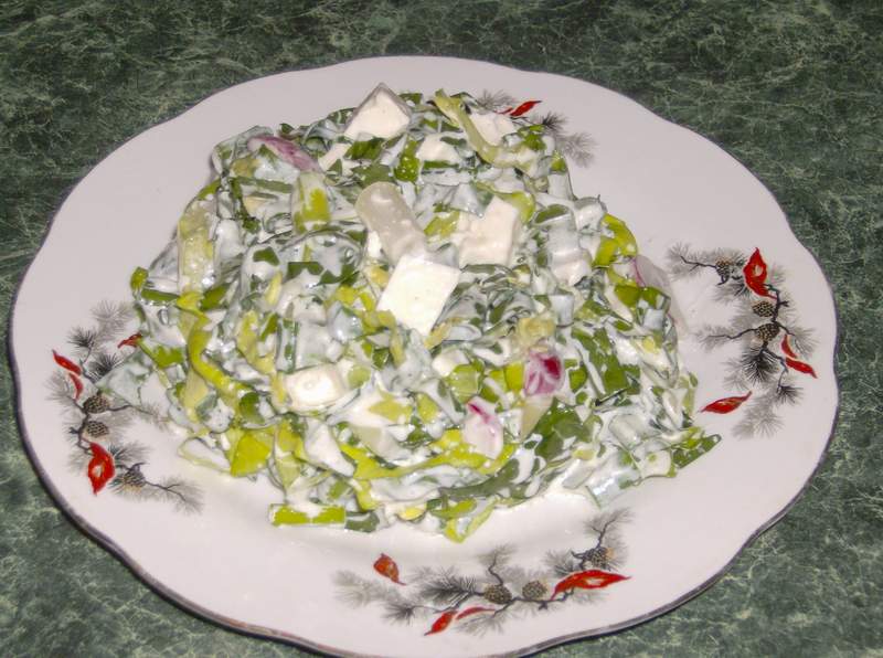 Salata de primavara