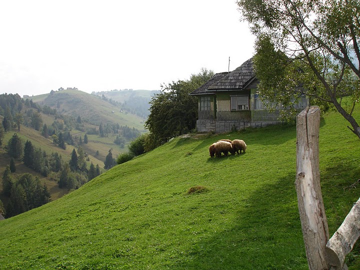 Sat Magura, o zona virgina