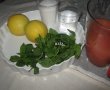 Red grapefruit mint cooler-0