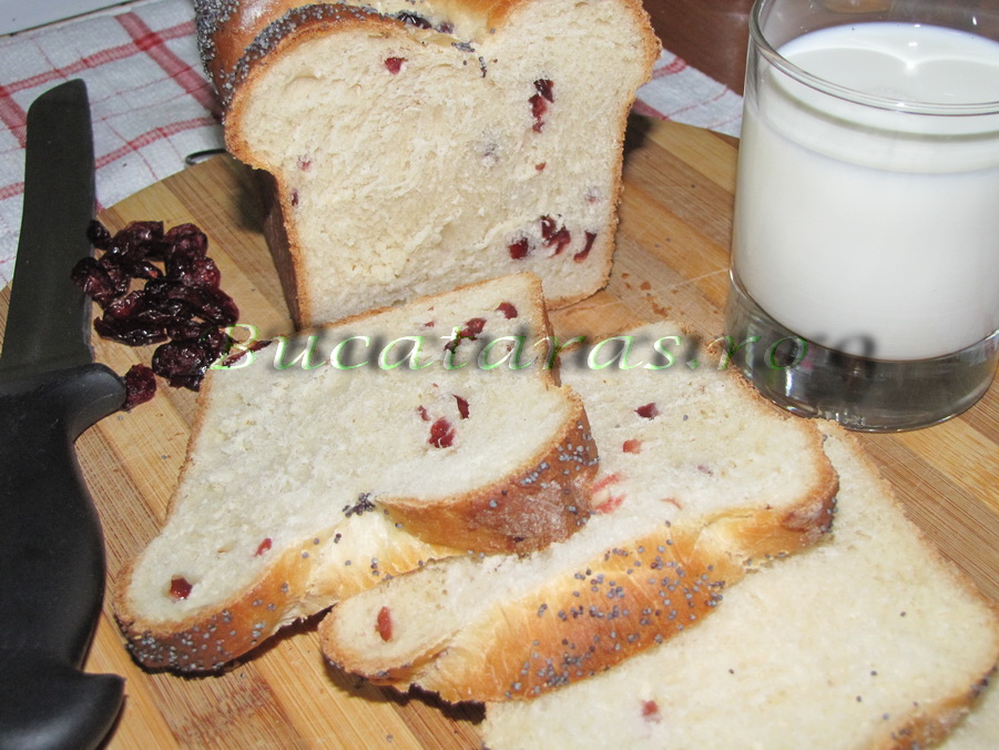 Cranberries Bread