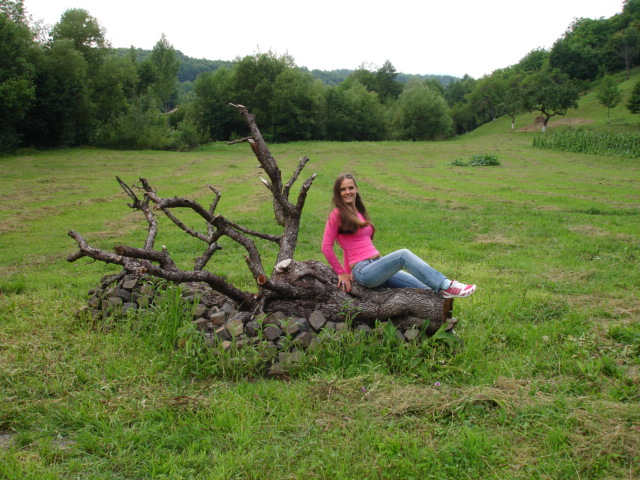 Pensiunea Doina, Vadul Izei- Maramures