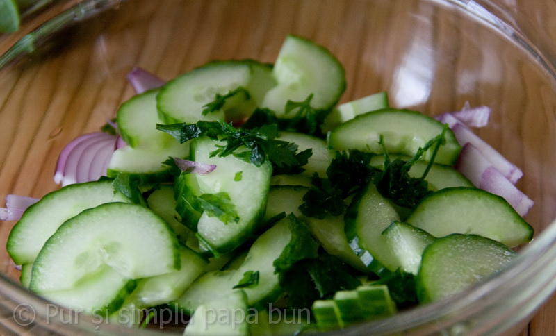 Frigarui de pui cu salata de castraveti si ceapa rosie