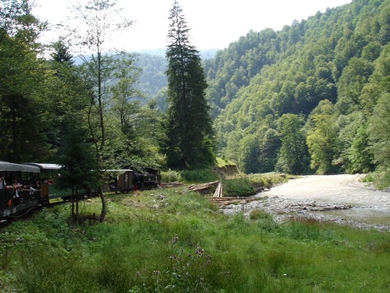 Cu mocanita pe Valea Vaserului