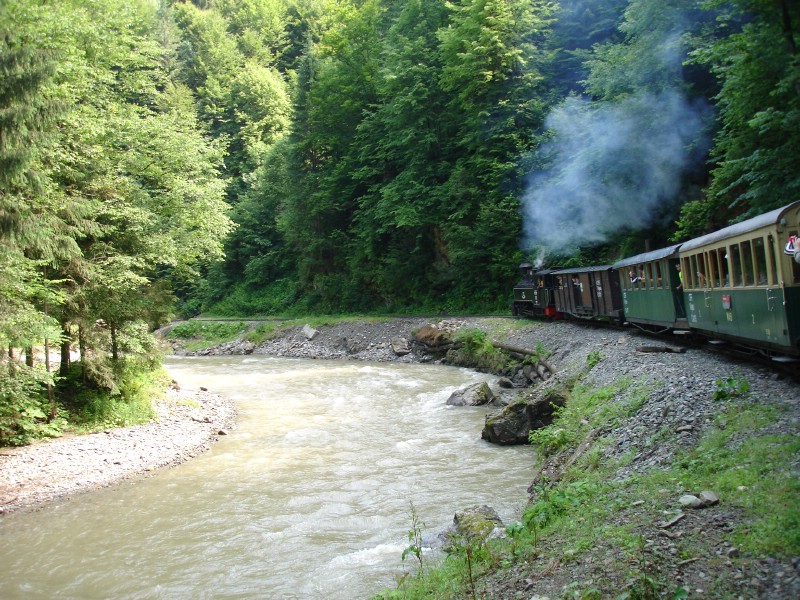 Cu mocanita pe Valea Vaserului