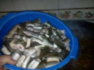 Suc De Anquillas (Tocanita  de Anqila)