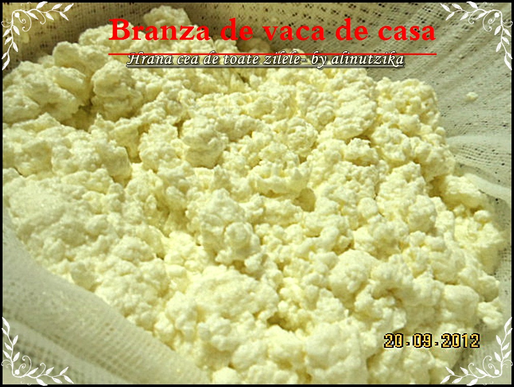 Branza de vaci   -moduri diferite de a face branzica de casa