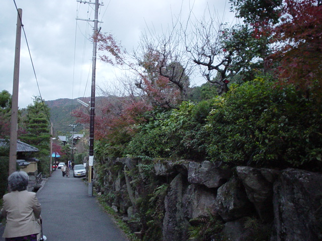 O zi de toamna in Kyoto