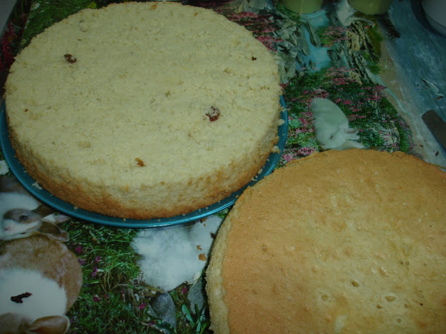 Tort de Craciun II