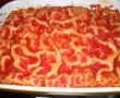 Lasagna cu soia-6