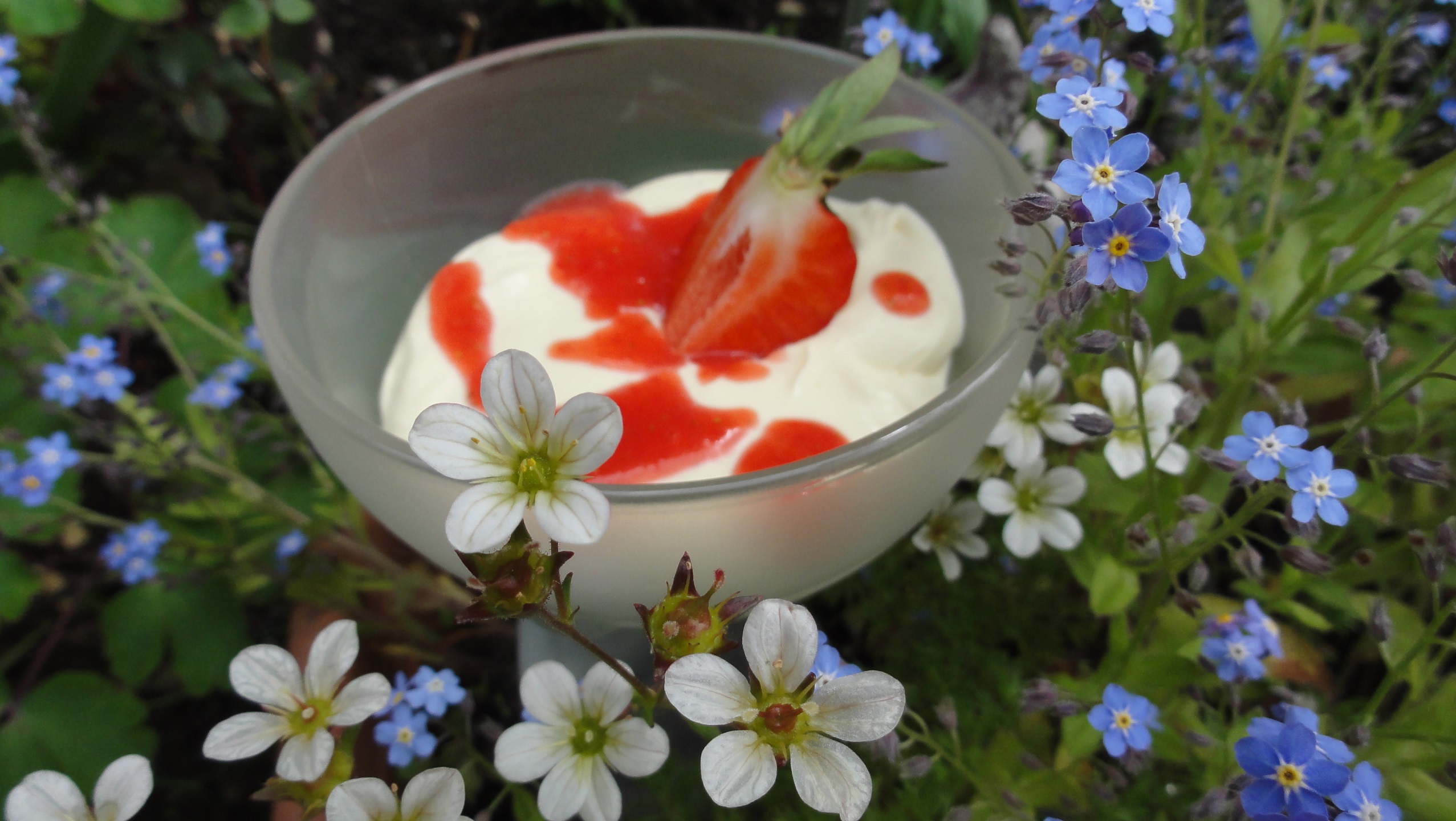 Crema cu mascarpone , capsuni si amarettini