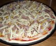 Pizza cu ton-6