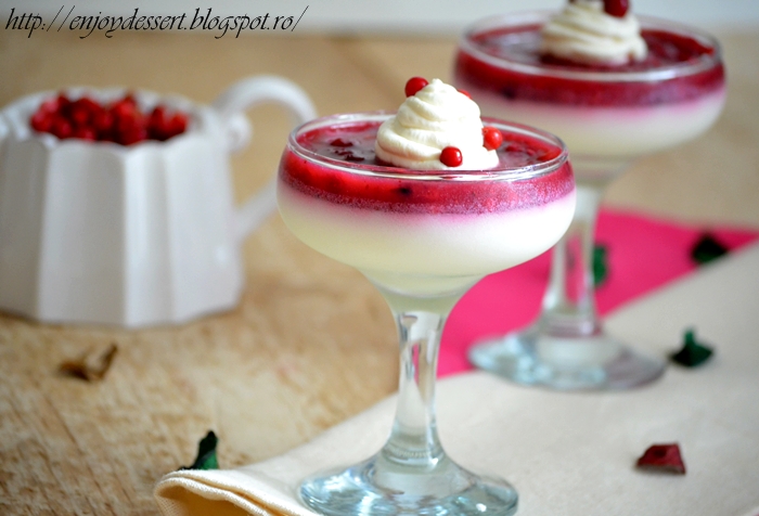 Panna cotta cu merisoare