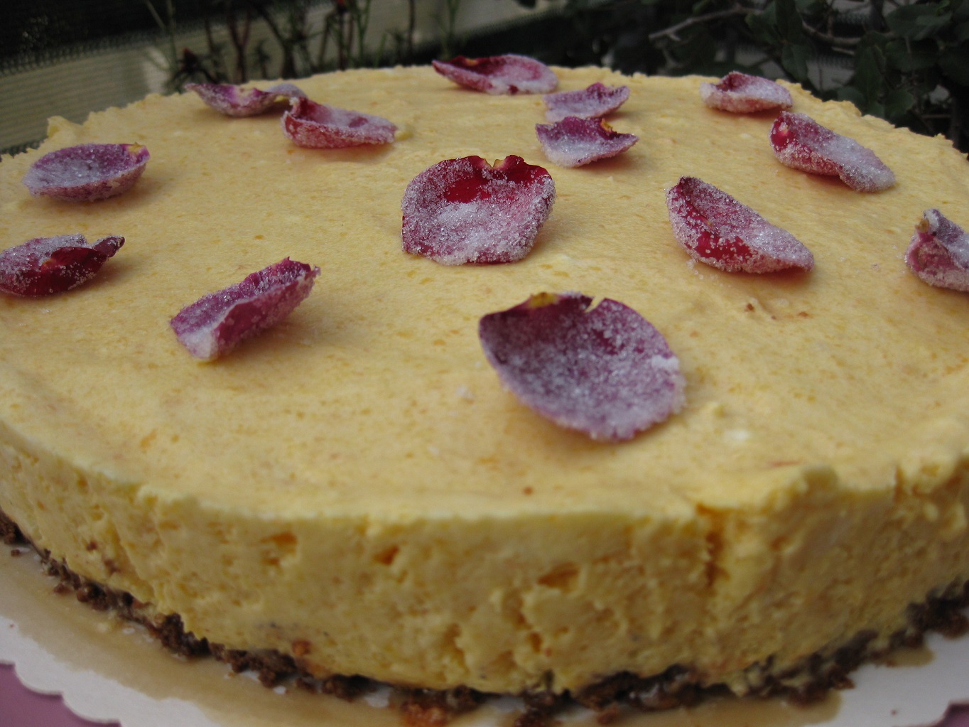 Aprikosenparfait Torte (Tort parfait de caise)