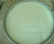 Cheesecake cu fructe de padure-8