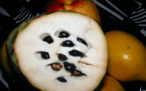 Cherimoya