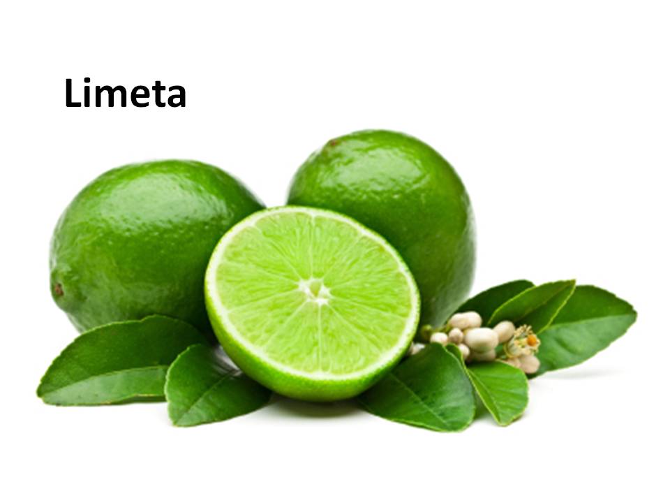 Simfonia fructelor exotice (partea a IIIa)