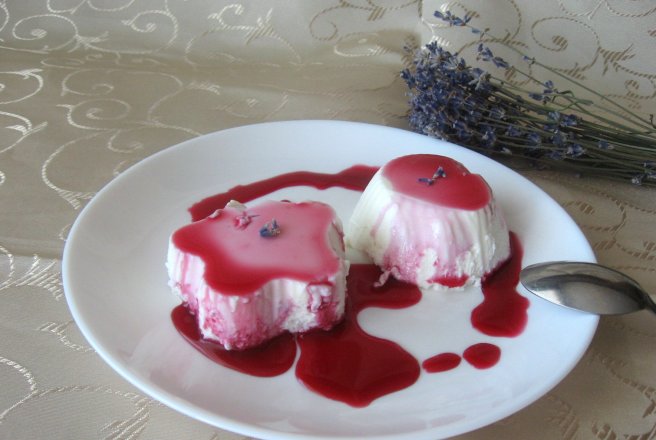 Panna cotta cu levantica