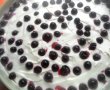 Cheesecake cu ricotta si coacaze negre-5