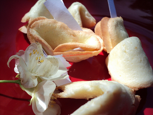 Chinese fortune cookies