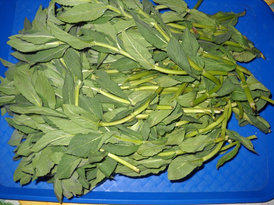 Sirop de menta