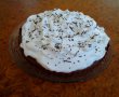 Tarta cu ricotta,  cacao si bezea-3