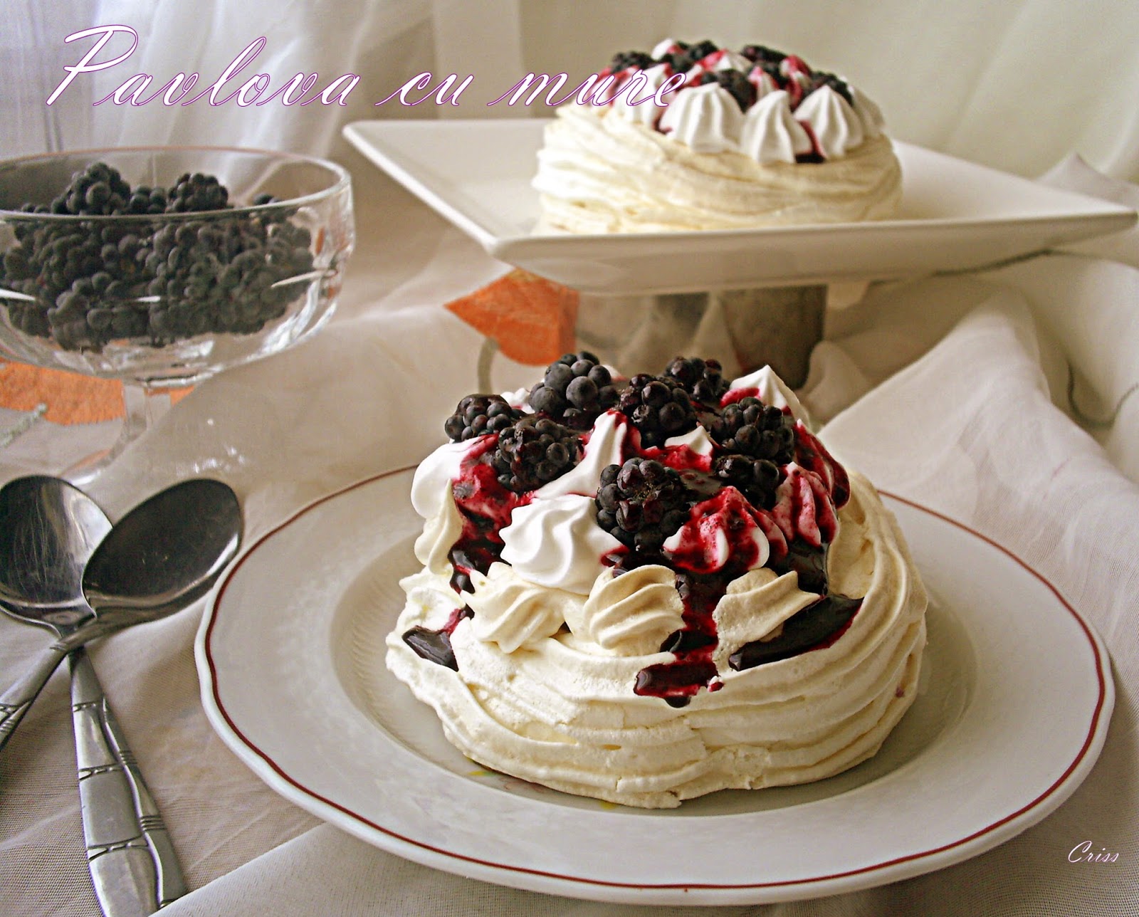 Pavlova cu mure