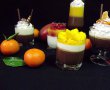 Panna cotta cu ciocolată,cu vanilie şi jeleu de mango-2