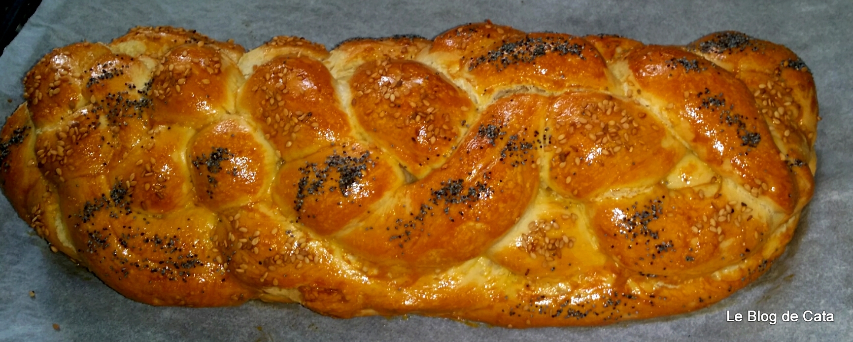 Colac impletit in 6 - Challah