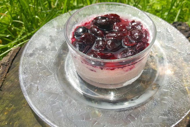 Panna cotta cu cirese