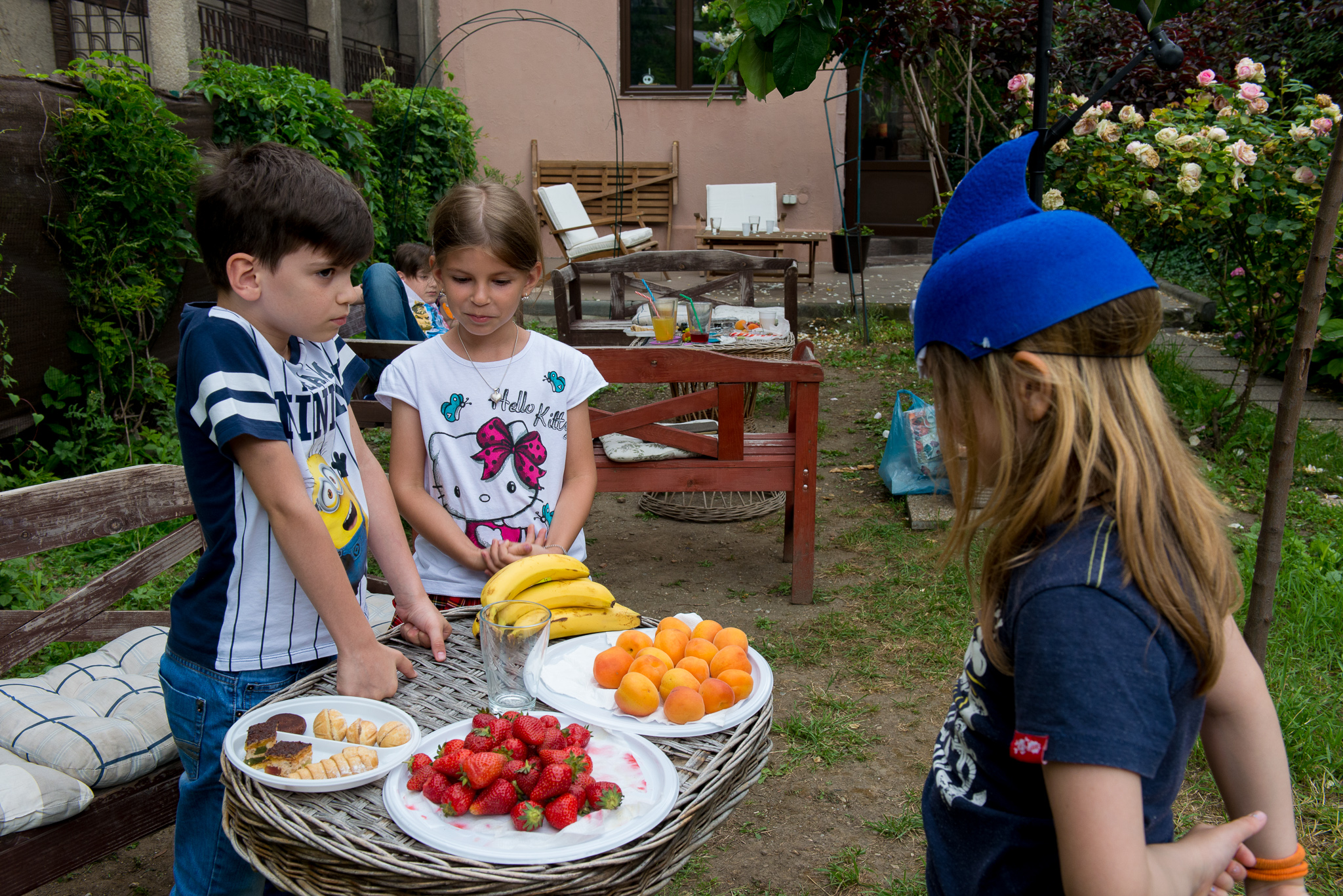 Picnicul prieteniei