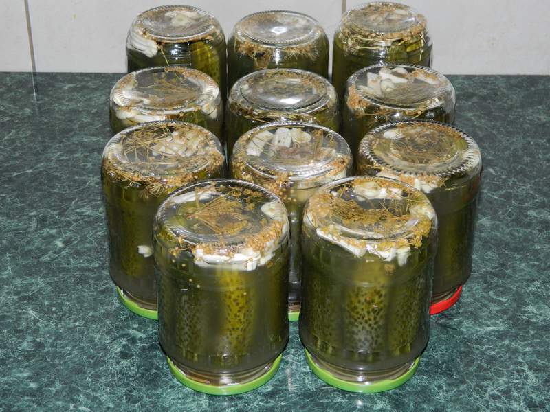 Castraveti murati in saramura (reteta Motan)