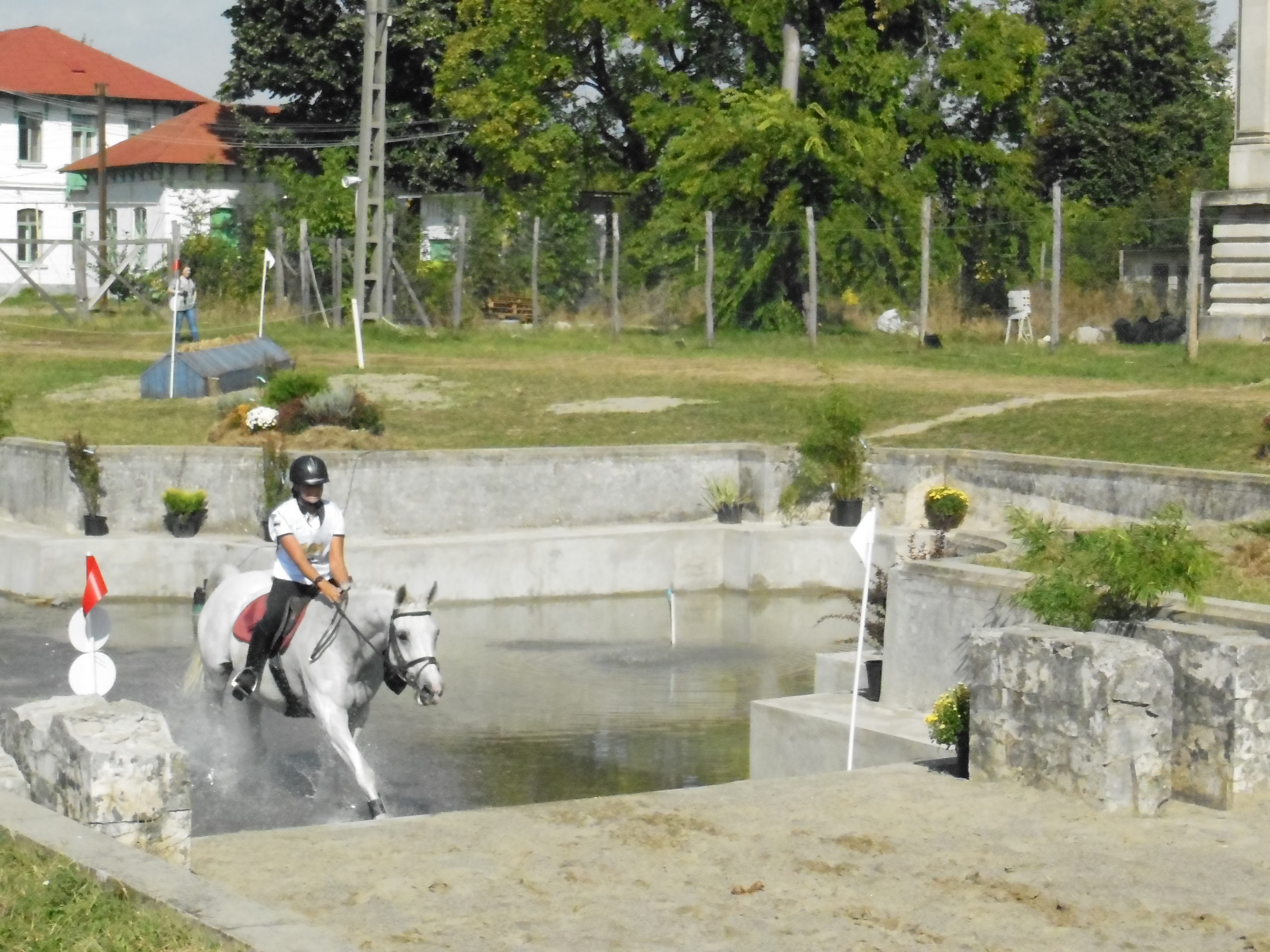 O zi de poveste cu bucatarasi dragi