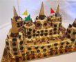 Tort castel-14