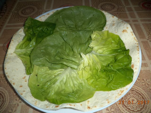 Tortilla cu peste afumat si samburi de rodie