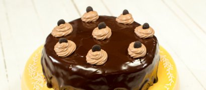 Desert tort amandina