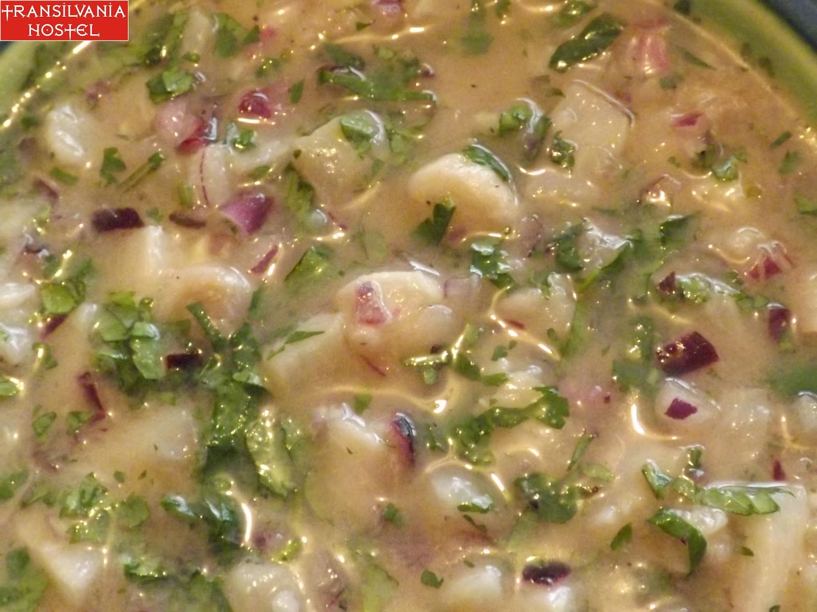 Ceviche Tico de pescado (peste)