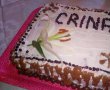 Desert tort Crina-6