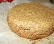 Desert tort Fulgi de nea-2