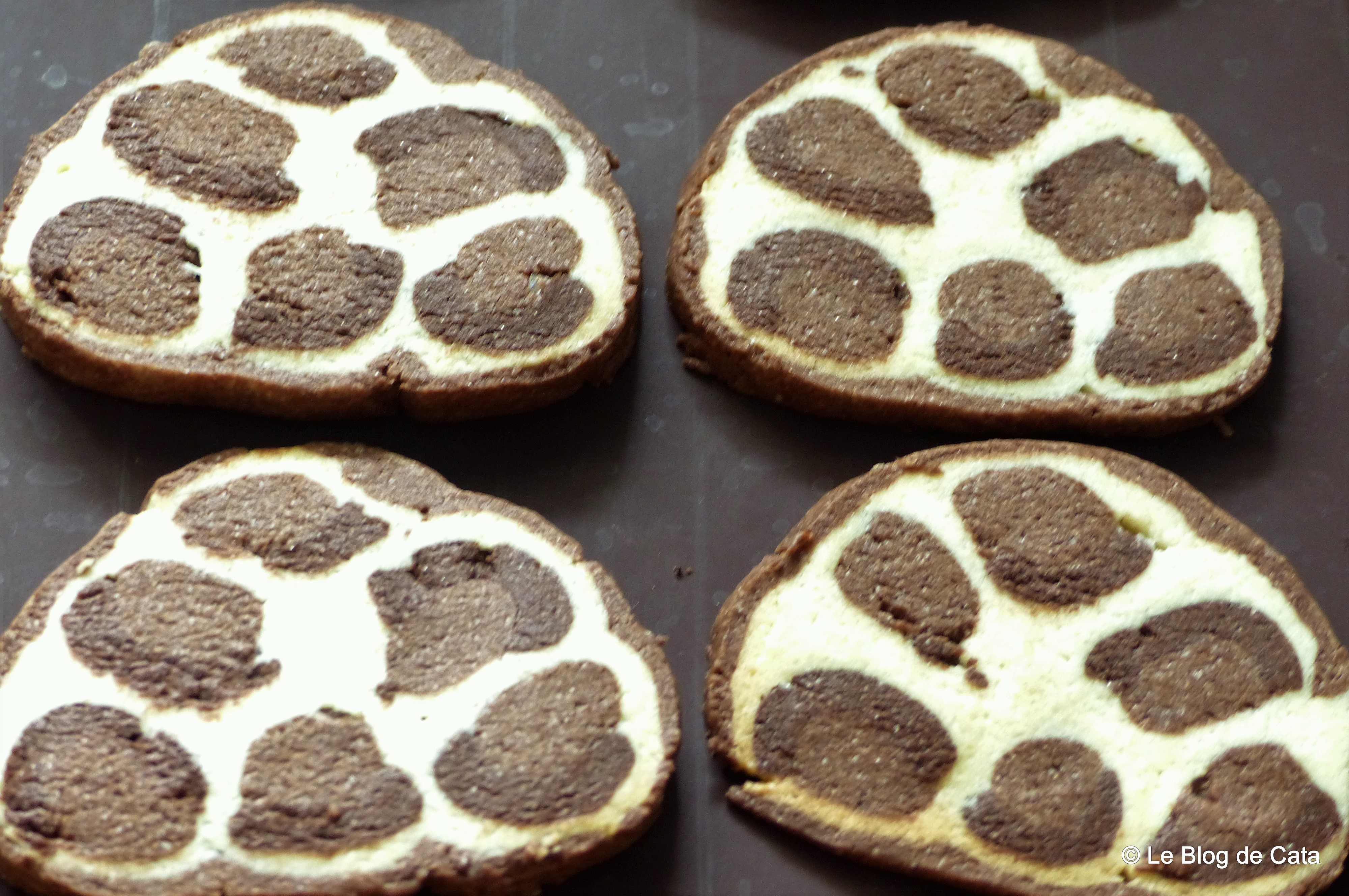 Desert biscuiti Leopard