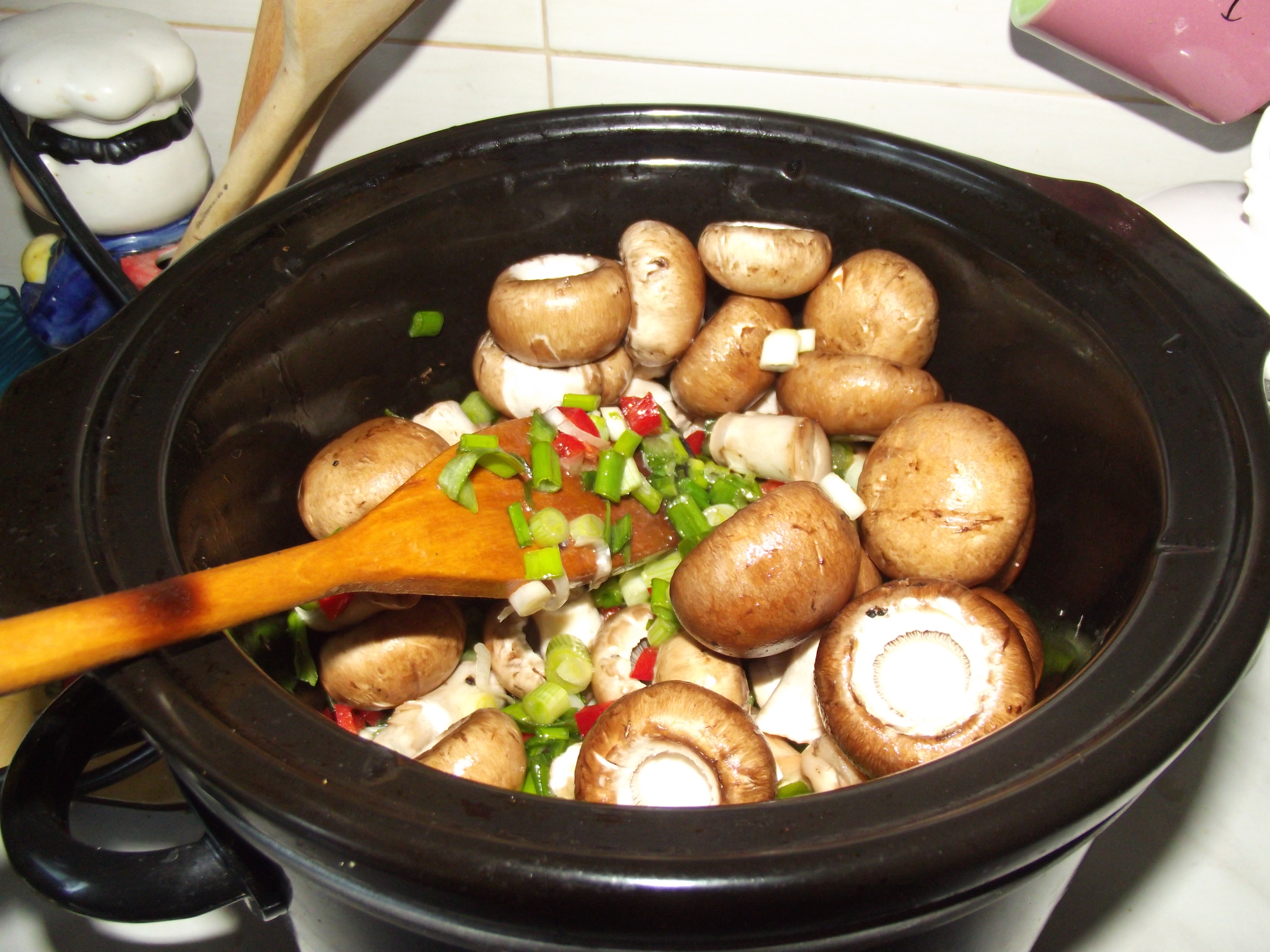 Tocana lenesa la slow cooker Crock-Pot