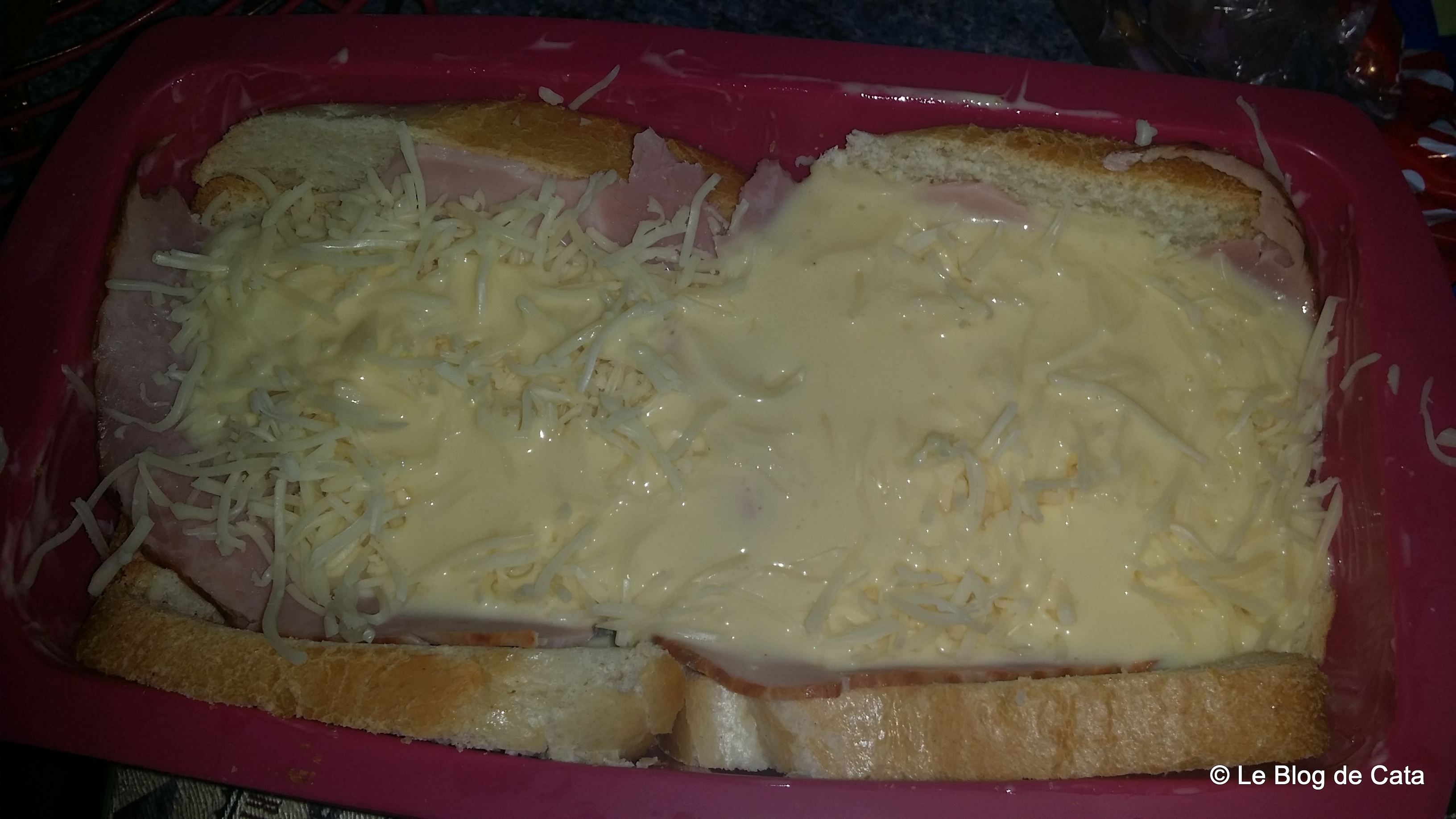 Aperitiv chec sandwich croque monsieur