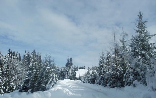 Revelionul Bucatarasilor 2018 - Propuneri petrecere timp liber