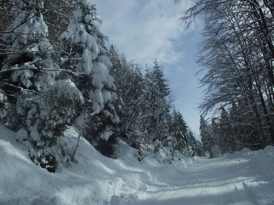 Revelionul Bucatarasilor 2018 - Propuneri petrecere timp liber