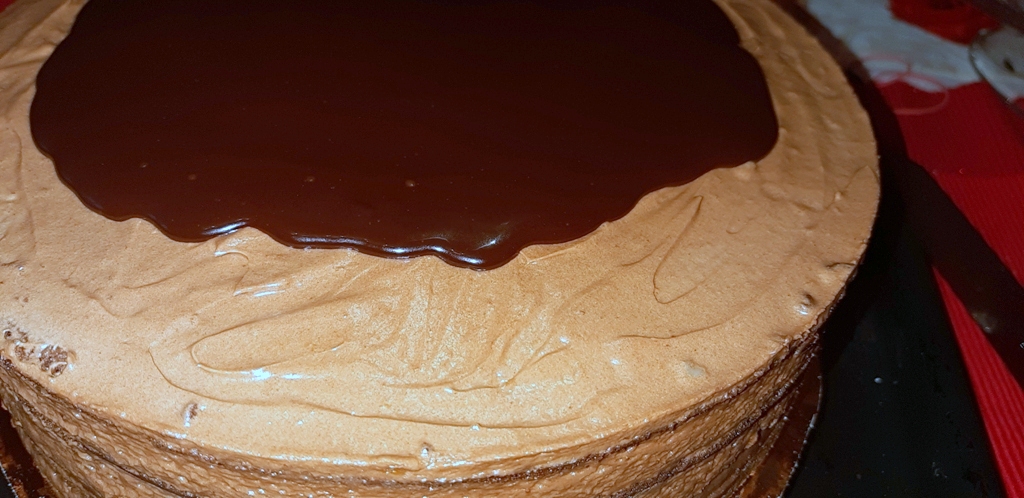 Desert tort amandina