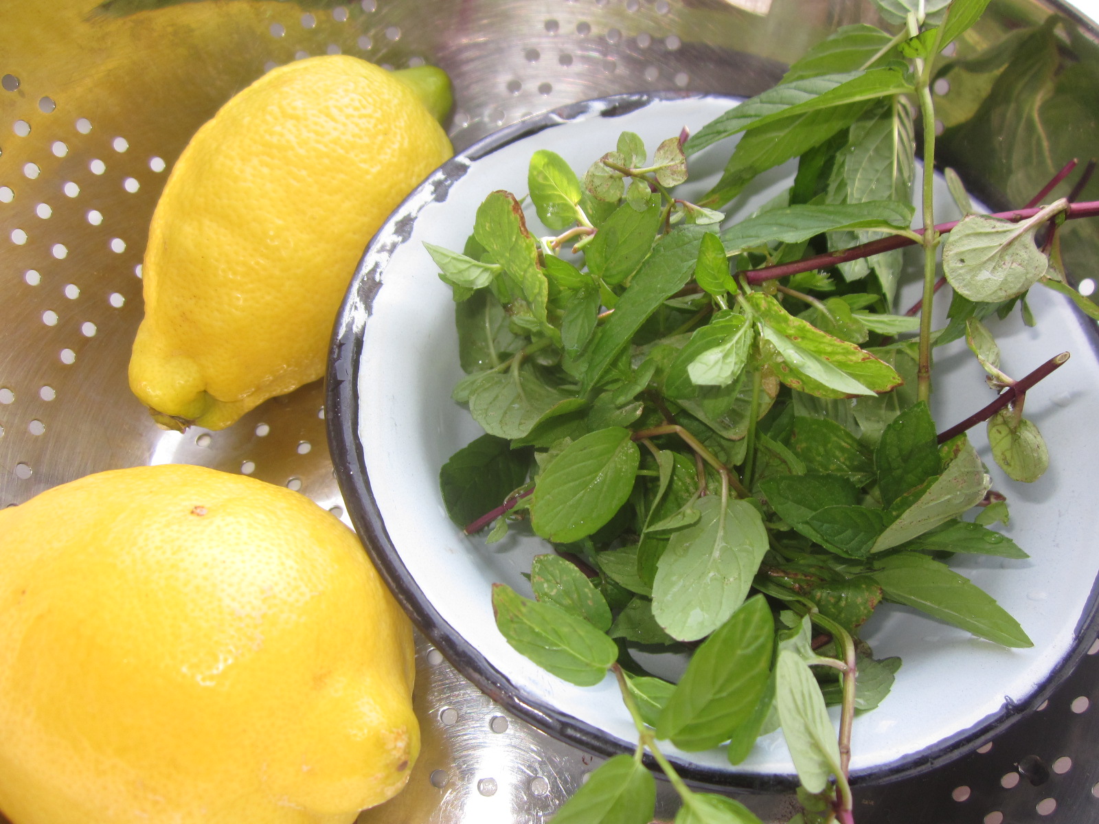 Dulceata de castraveti cu menta si lamaie