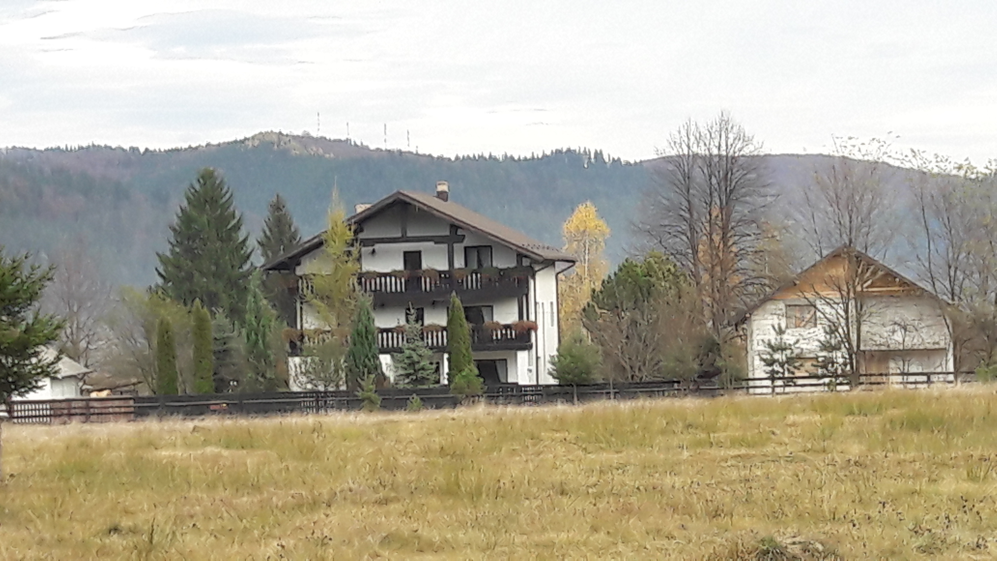 Intalnirea bucatarasilor in Bucovina 2020