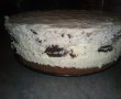 Desert tort Oreo-11